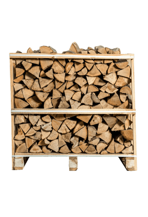 Demi palette – Frêne séché au four – 25cm - Image 2